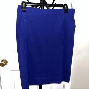 Diane Von Furstenberg Blue Pencil Skirt for Work